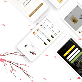 桃花源APP案例图1